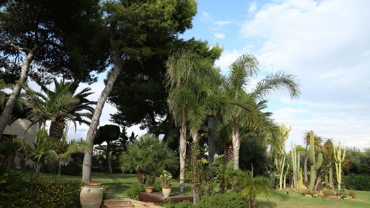 Photo of Outdoor in Butera