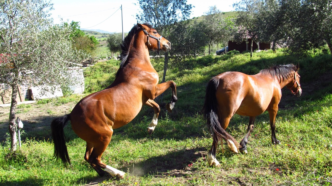 Photo of Outdoor in Enna