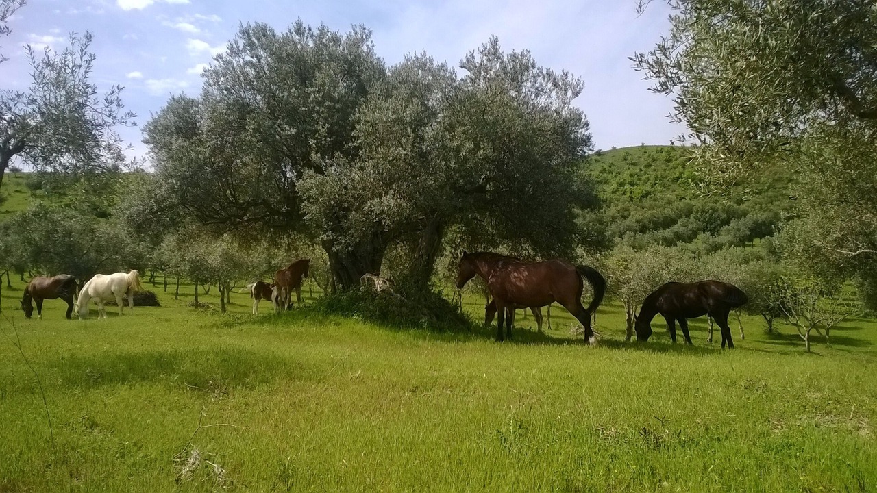 Photo of Outdoor in Enna