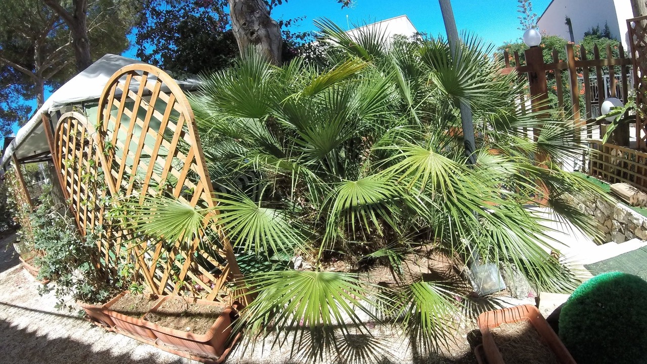 Photo of Outdoor in San Vito Lo Capo