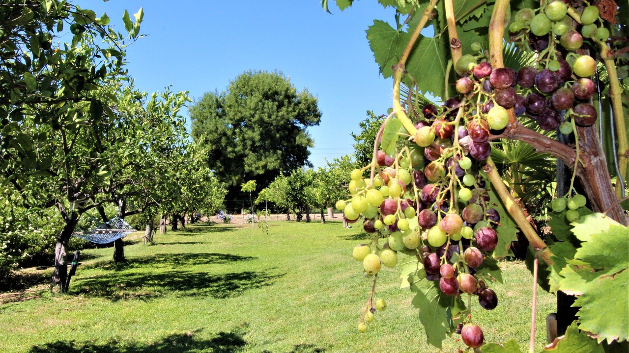 Photo of Outdoor in Brucoli
