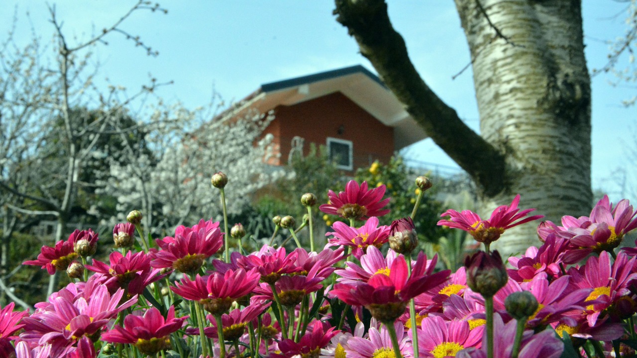 Photo of Outdoor in Piedimonte Etneo