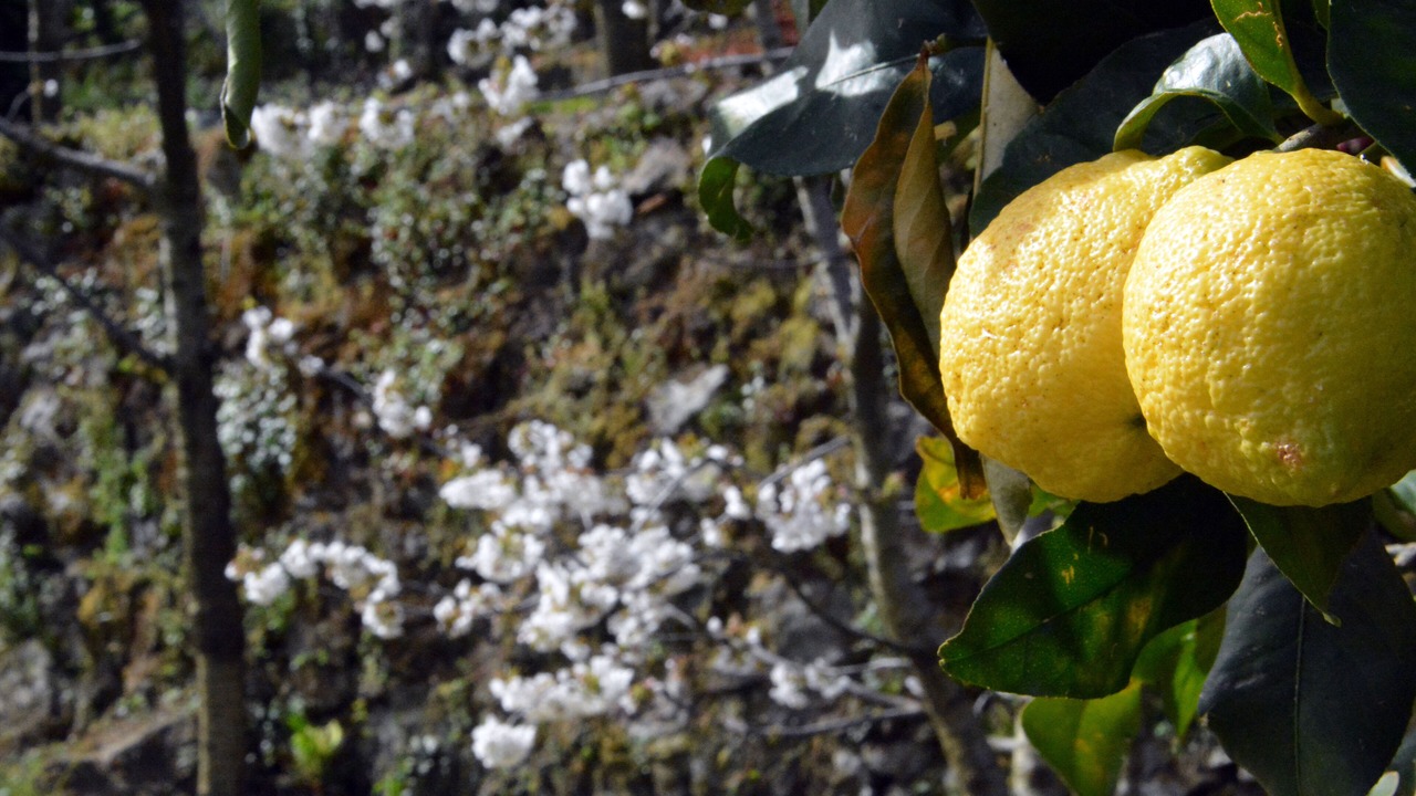 Photo of Outdoor in Piedimonte Etneo
