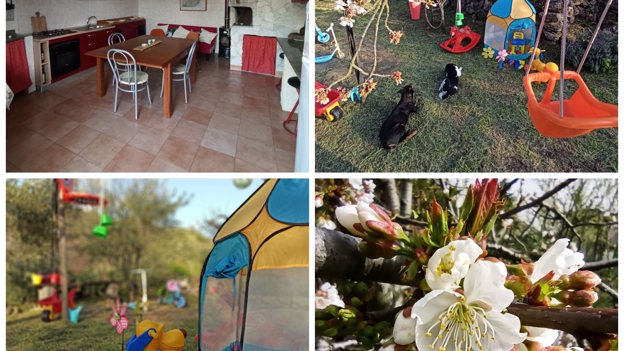 Photo of Others in Piedimonte Etneo