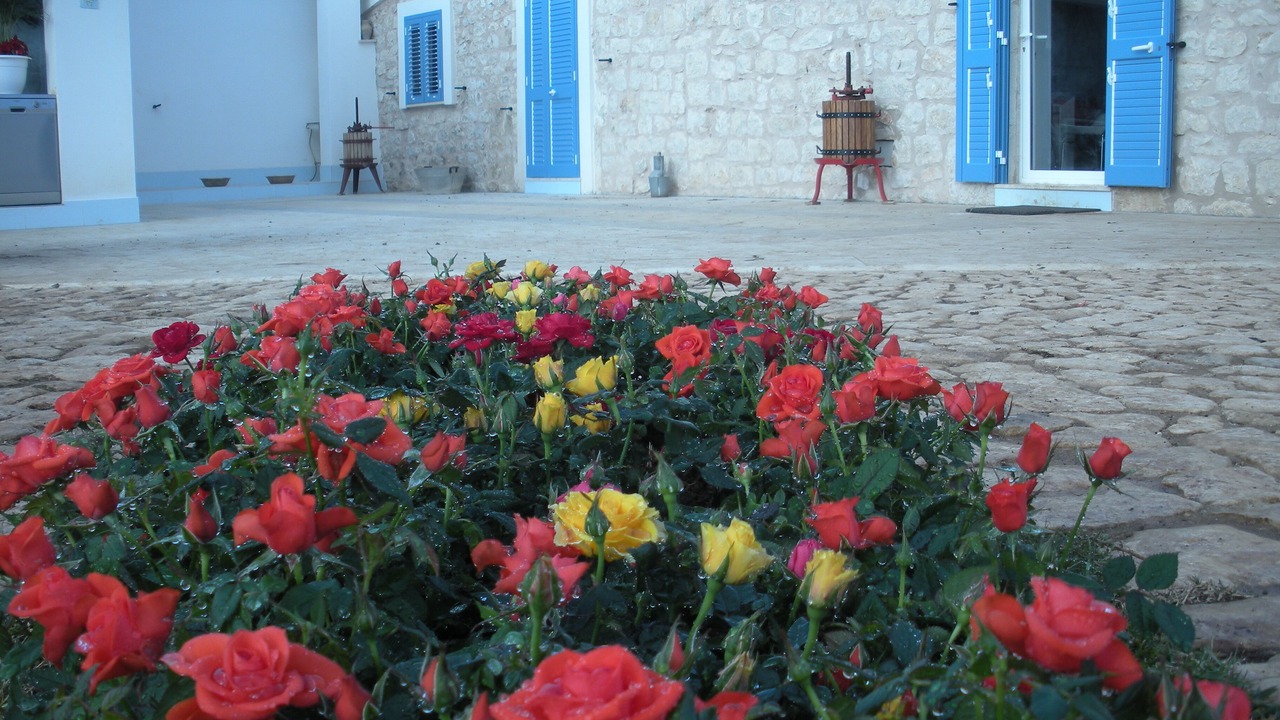 Photo of Outdoor in Donnalucata