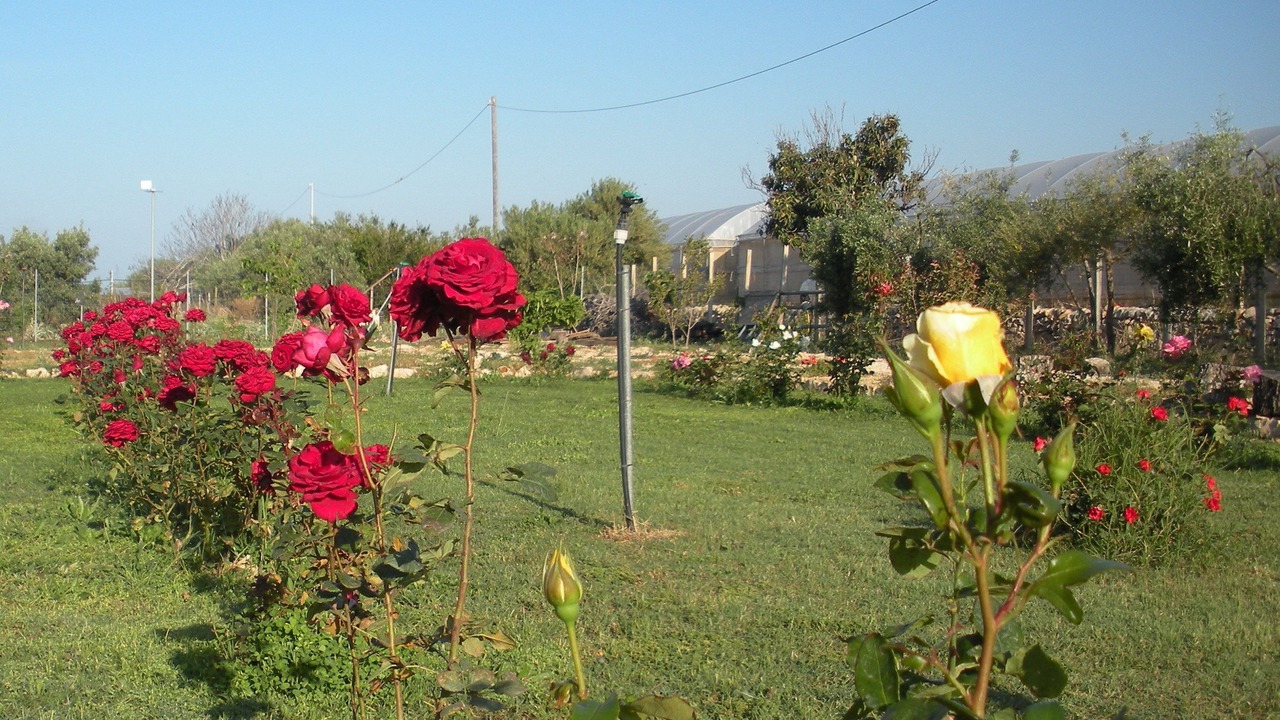 Photo of Outdoor in Donnalucata