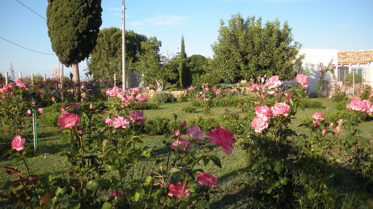 Photo of Outdoor in Donnalucata