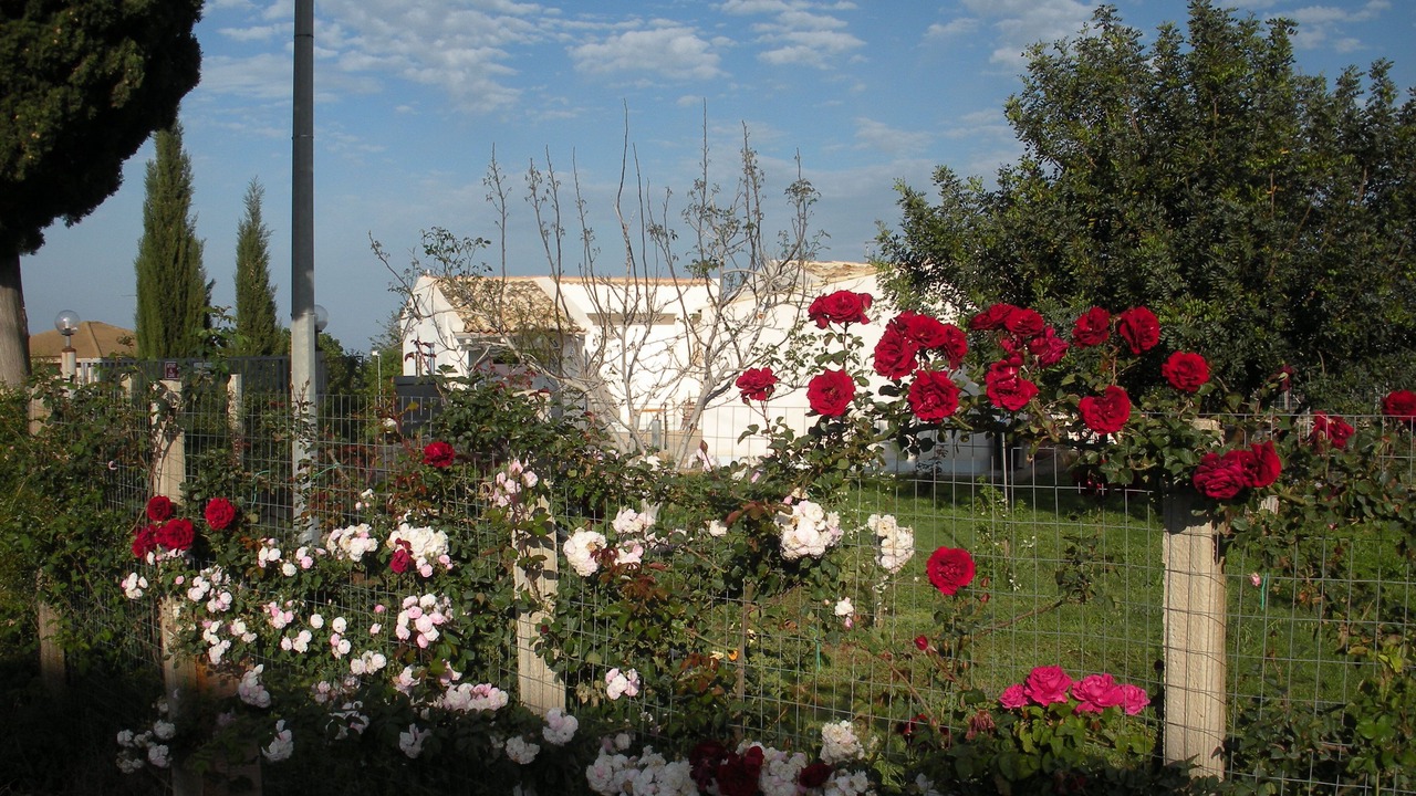 Photo of Outdoor in Donnalucata