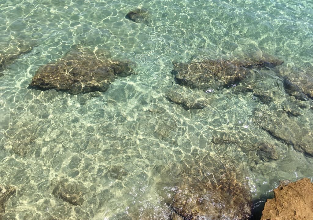 Photo of Others in Spadafora