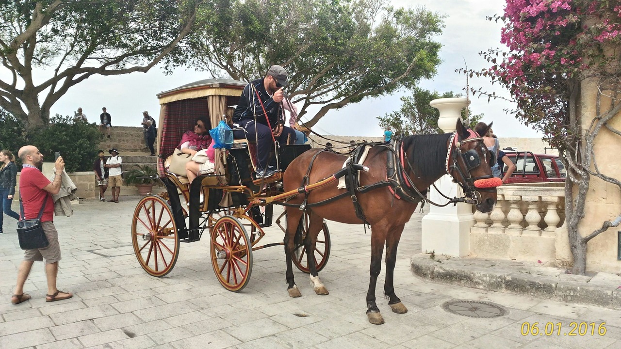 Photo of Others in Spadafora