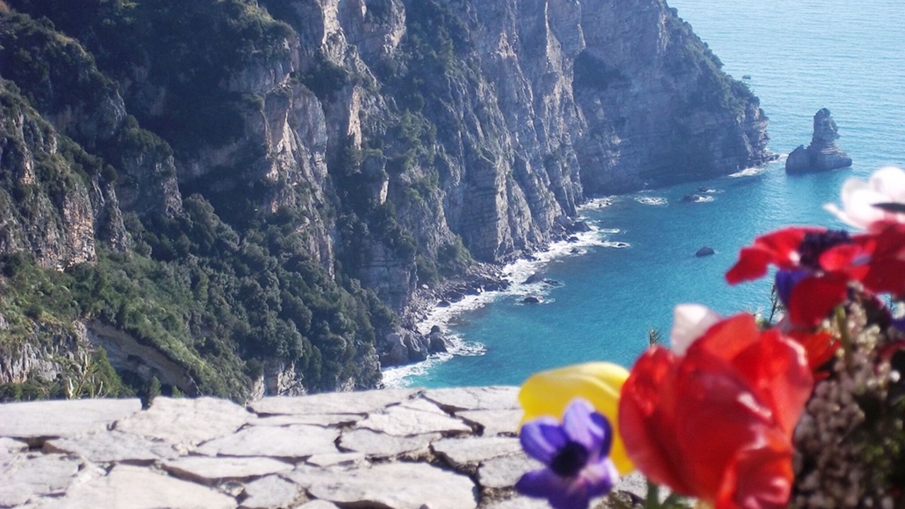 Photo of Others in Vico Equense