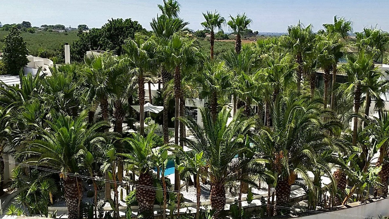 Photo of Outdoor in Marinella di Selinunte