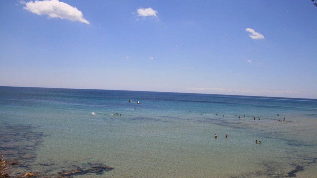 Photo of Others in Gallina