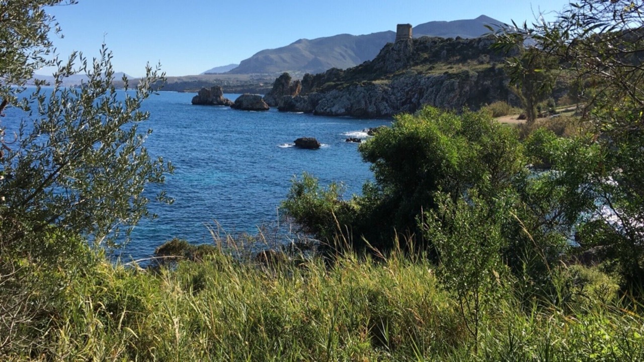 Photo of Others in Scopello
