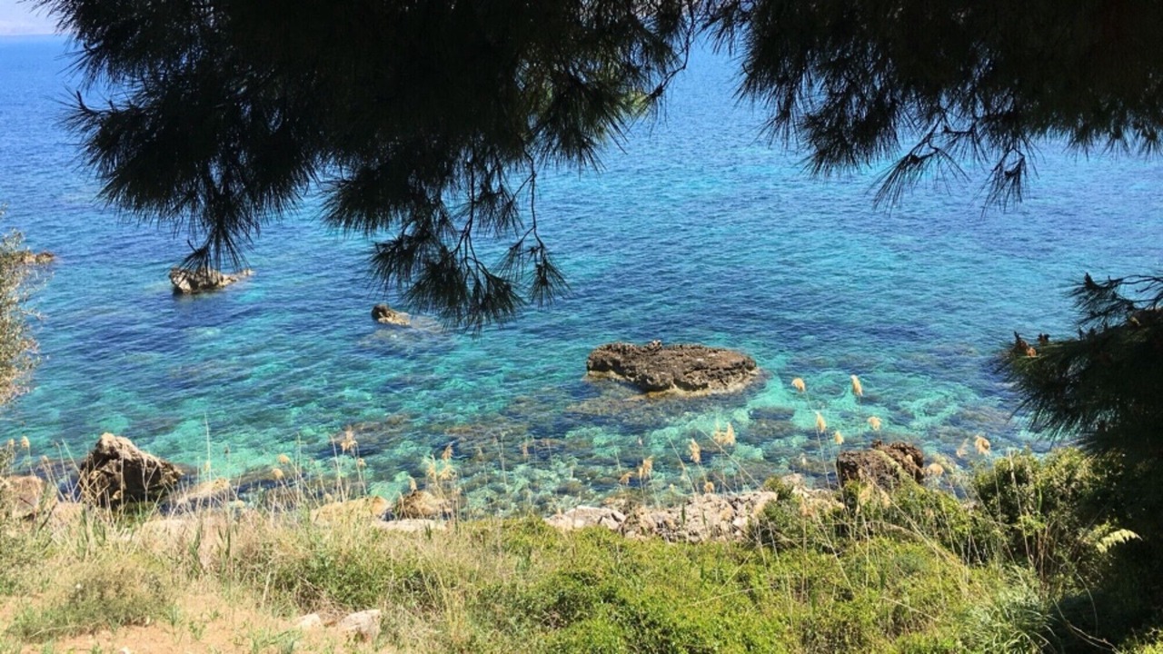 Photo of Others in Scopello