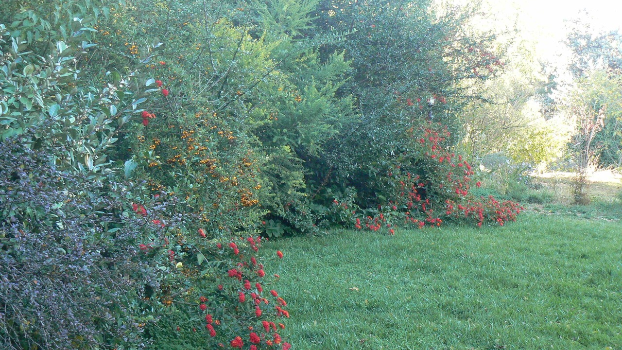 Photo of Outdoor in Caltanissetta