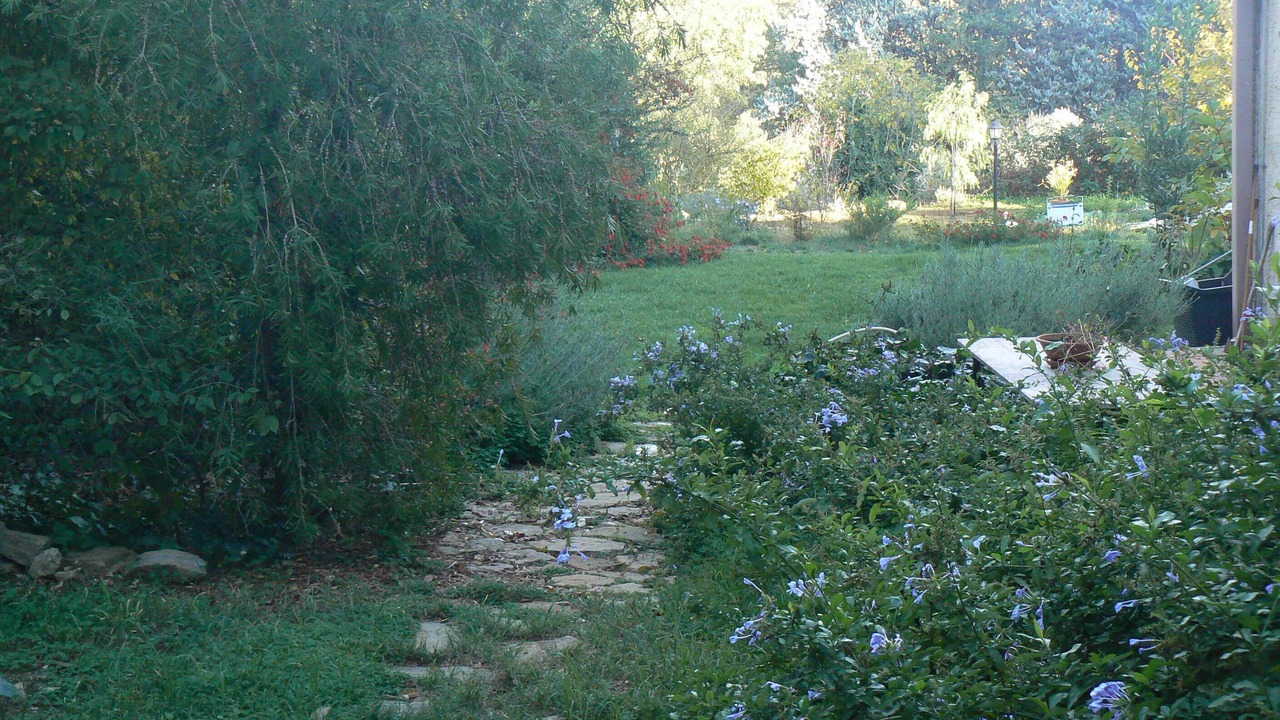 Photo of Outdoor in Caltanissetta