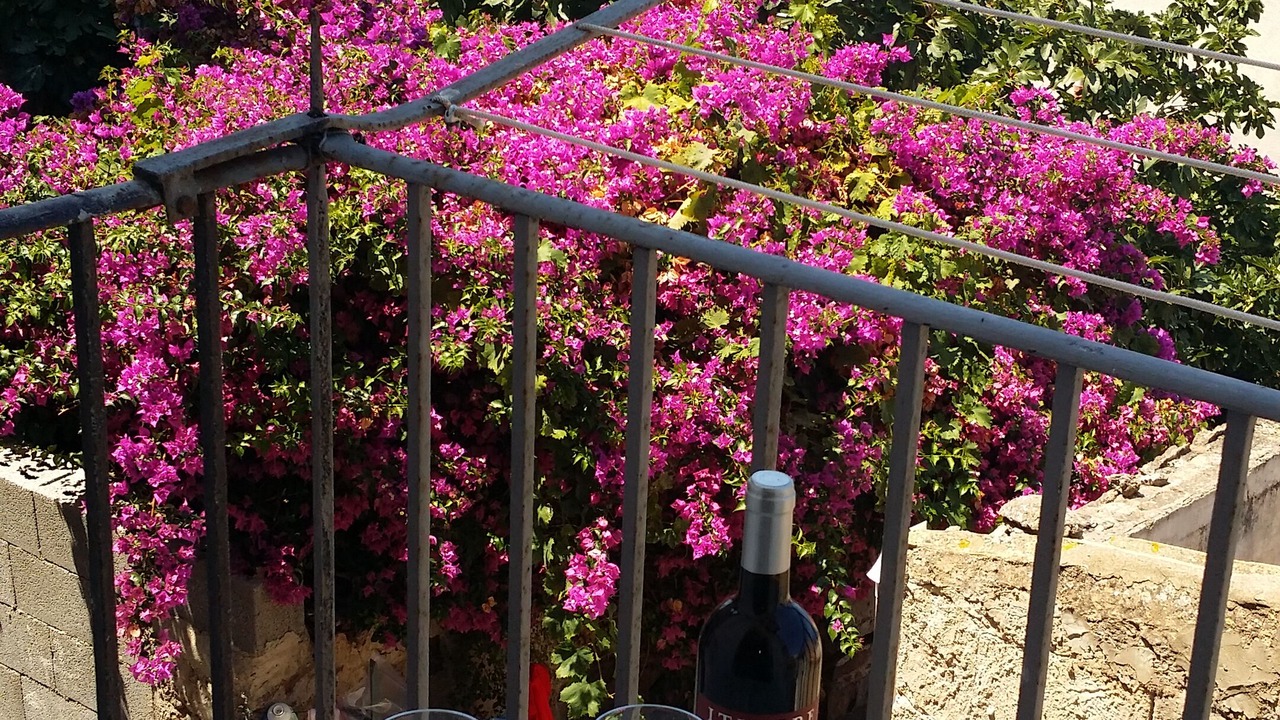 Photo of Outdoor in Sant'Ambrogio