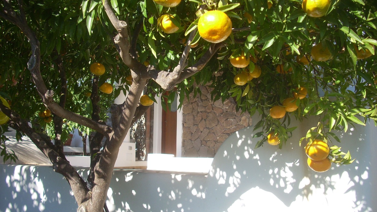 Photo of Outdoor in Lipari