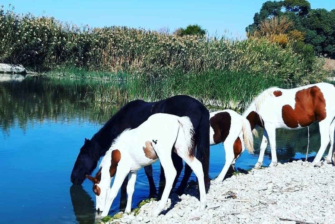 Photo of Others in Seccagrande