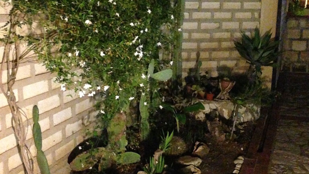 Photo of Outdoor in Cattolica Eraclea