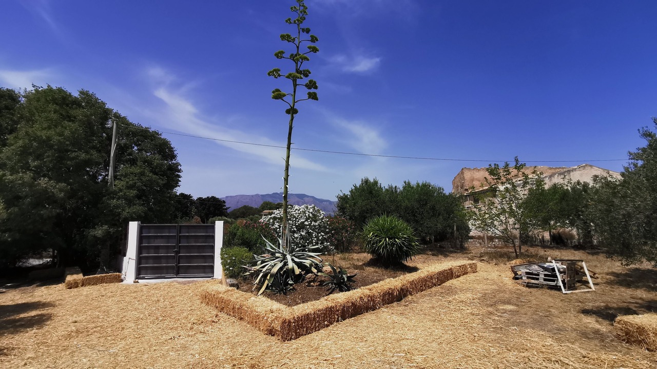 Photo of Outdoor in Partinico