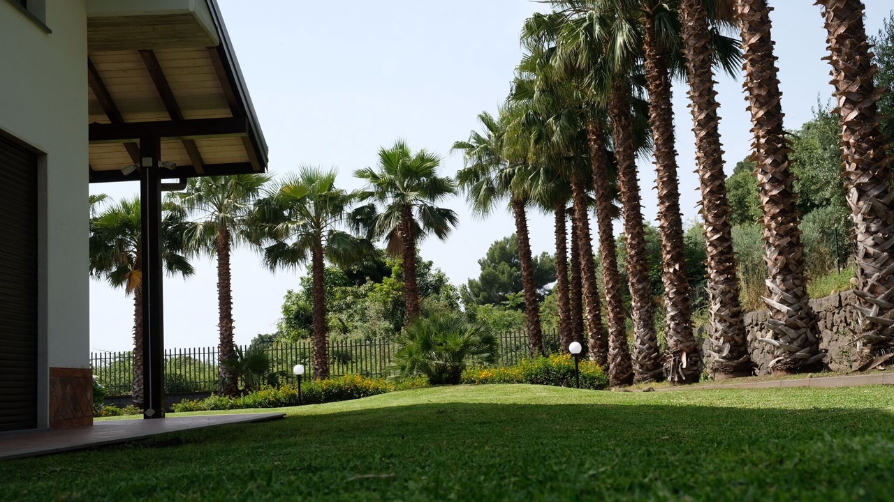 Photo of Outdoor in Giarre