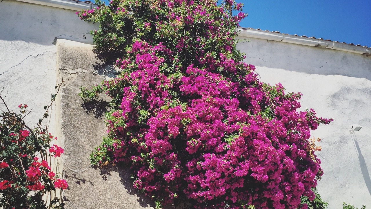 Photo of Outdoor in Roccamena