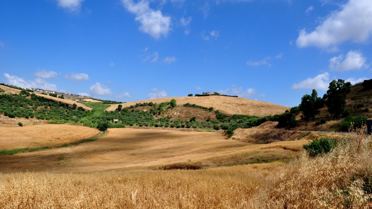 Photo of Others in Roccamena