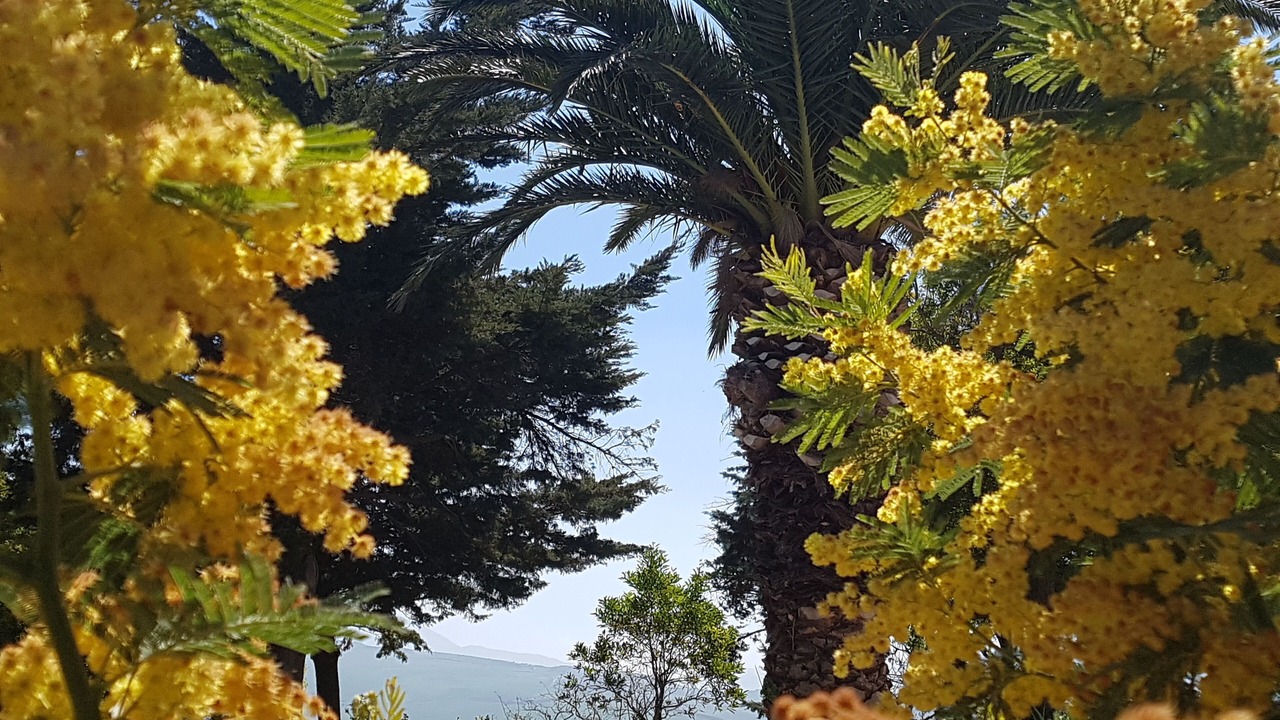 Photo of Outdoor in Roccamena