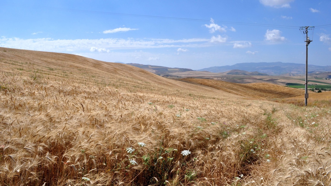 Photo of Others in Roccamena