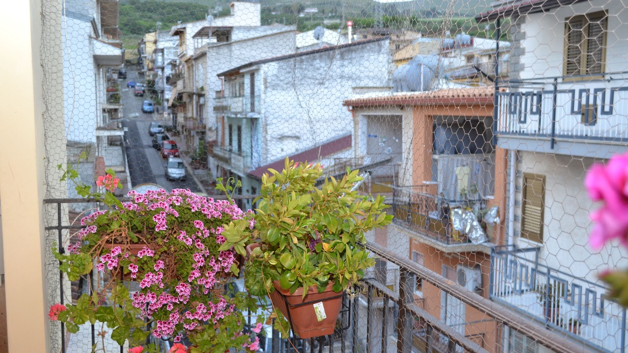 Photo of Outdoor in Bolognetta