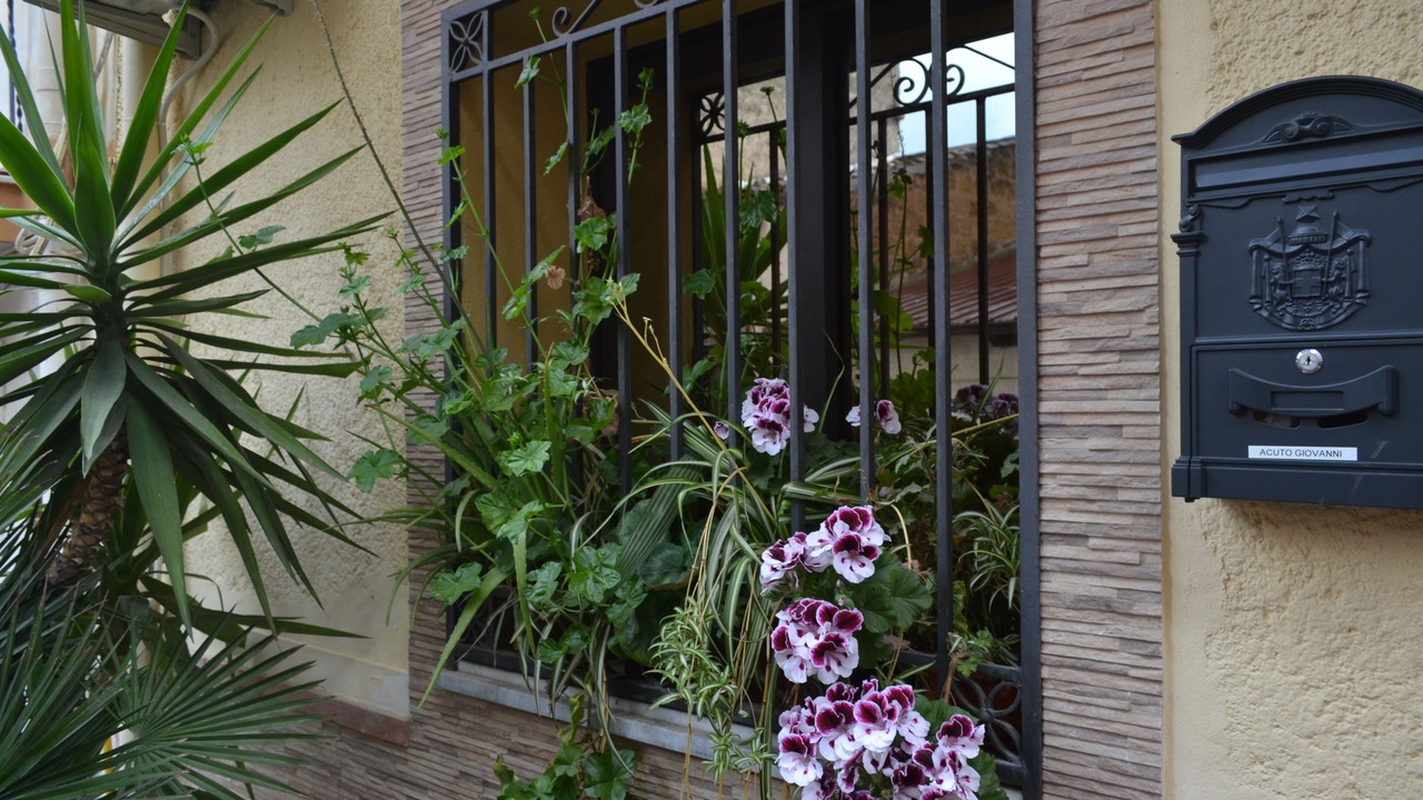 Photo of Outdoor in Bolognetta