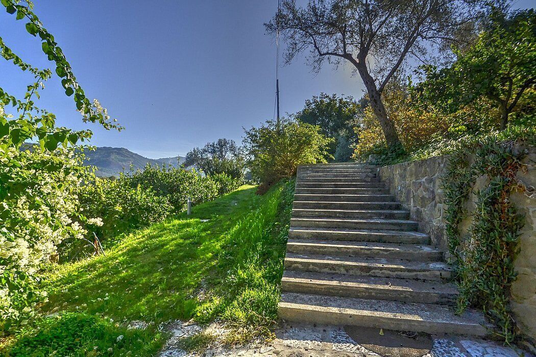 Photo of Outdoor in Mirto