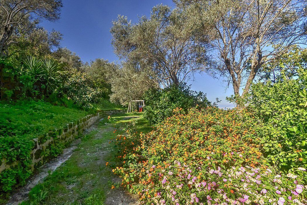 Photo of Outdoor in Mirto
