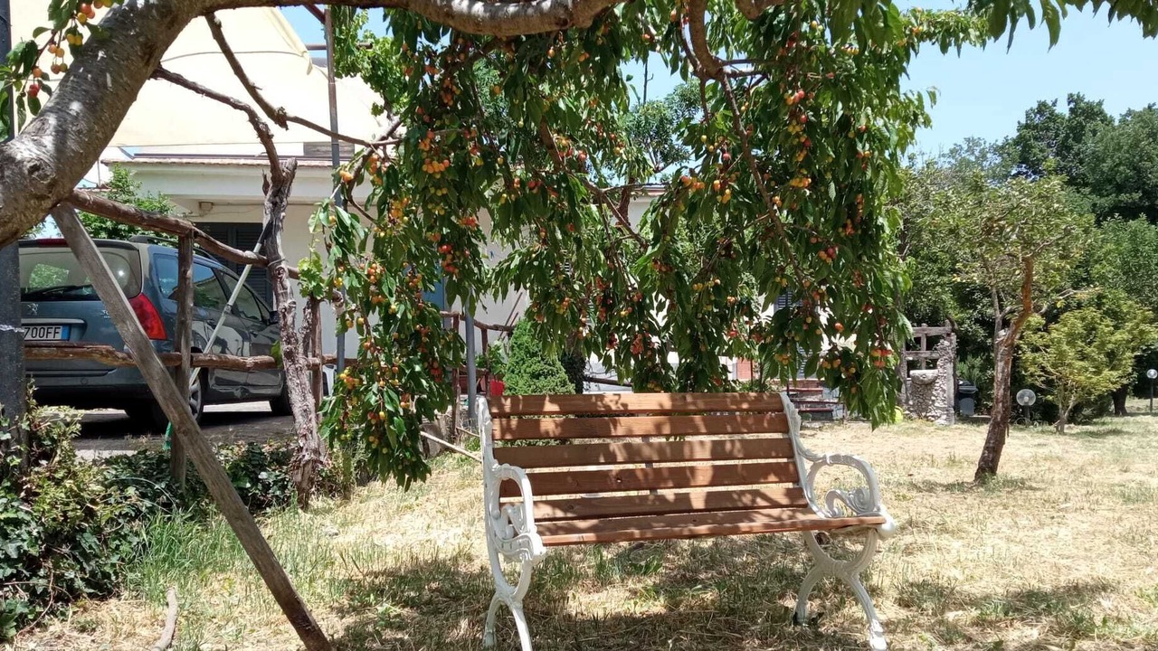 Photo of Outdoor in Maletto