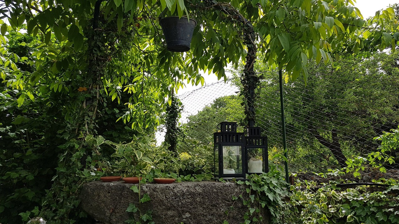 Photo of Outdoor in Maletto