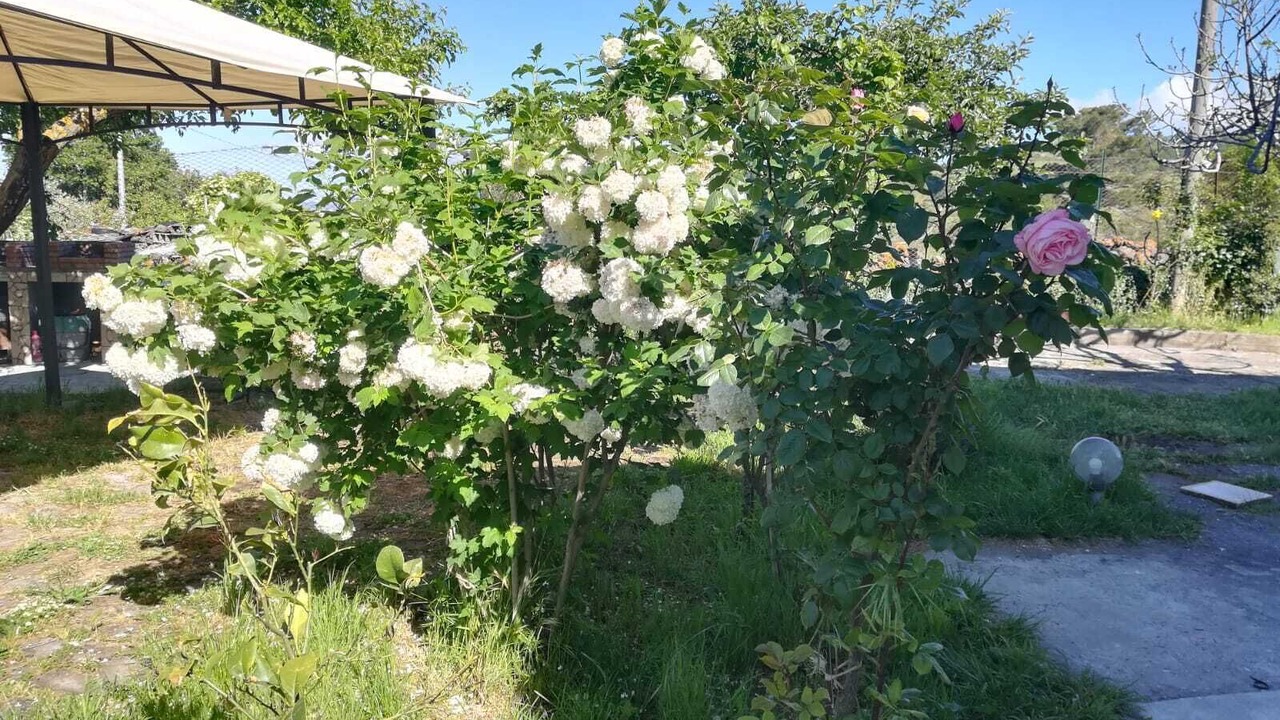Photo of Outdoor in Maletto