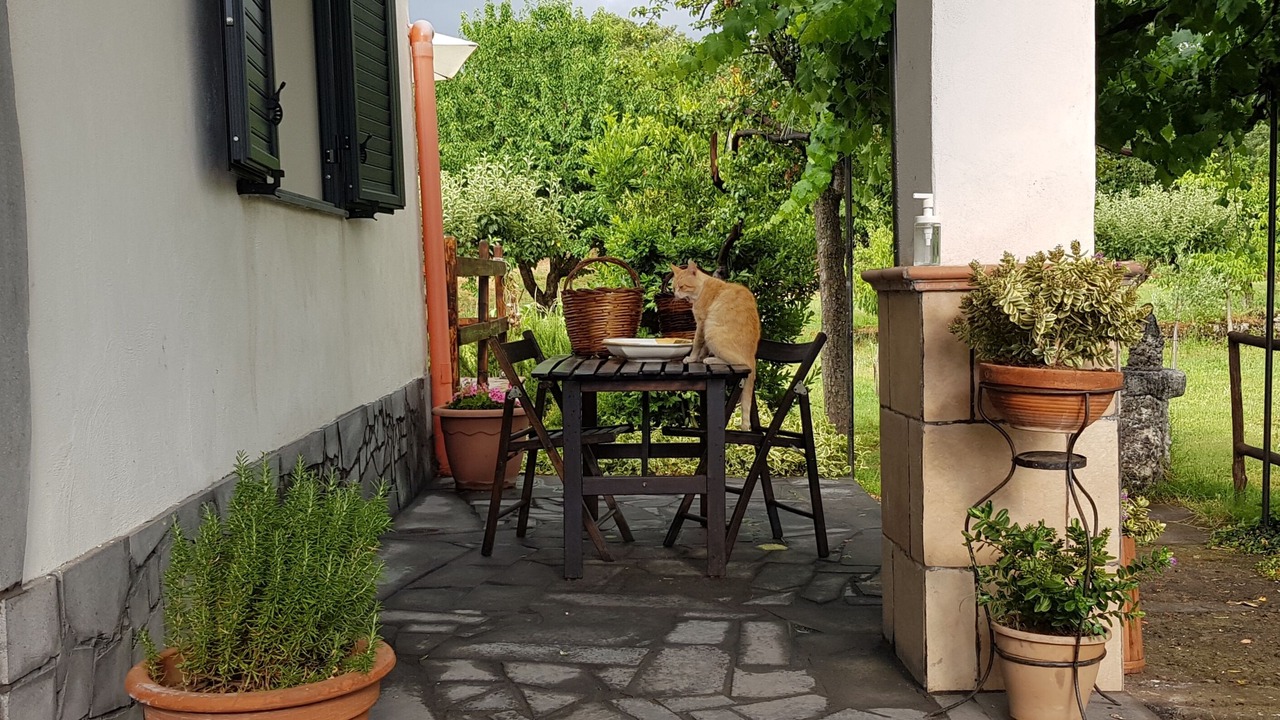 Photo of Outdoor in Maletto
