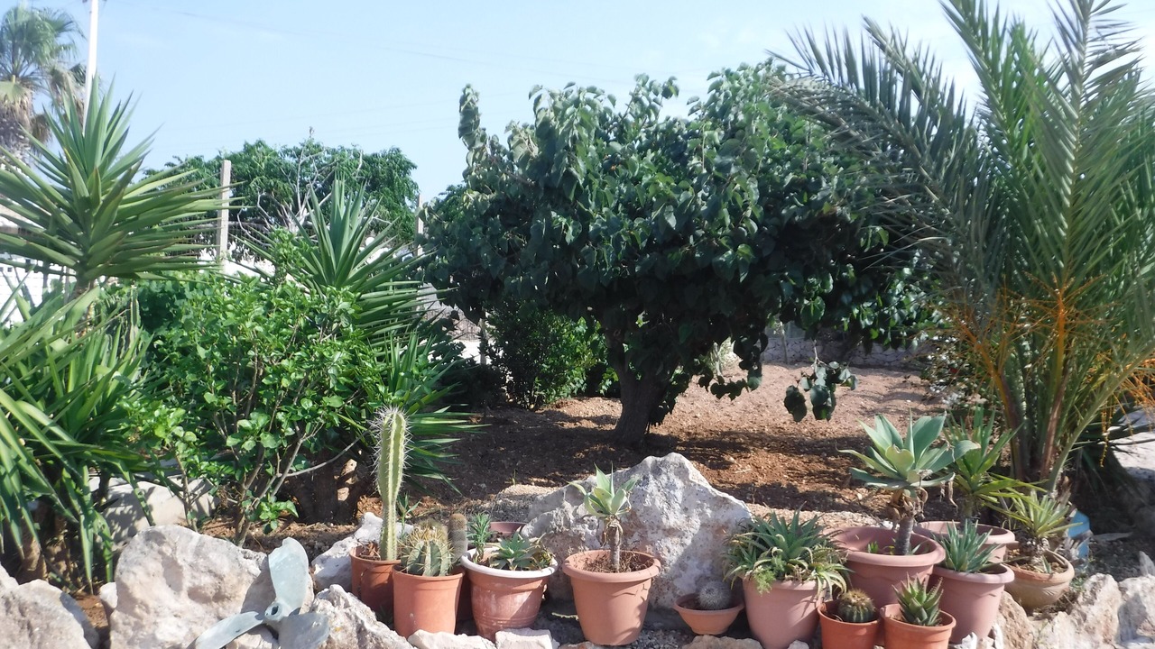 Photo of Outdoor in Lampedusa