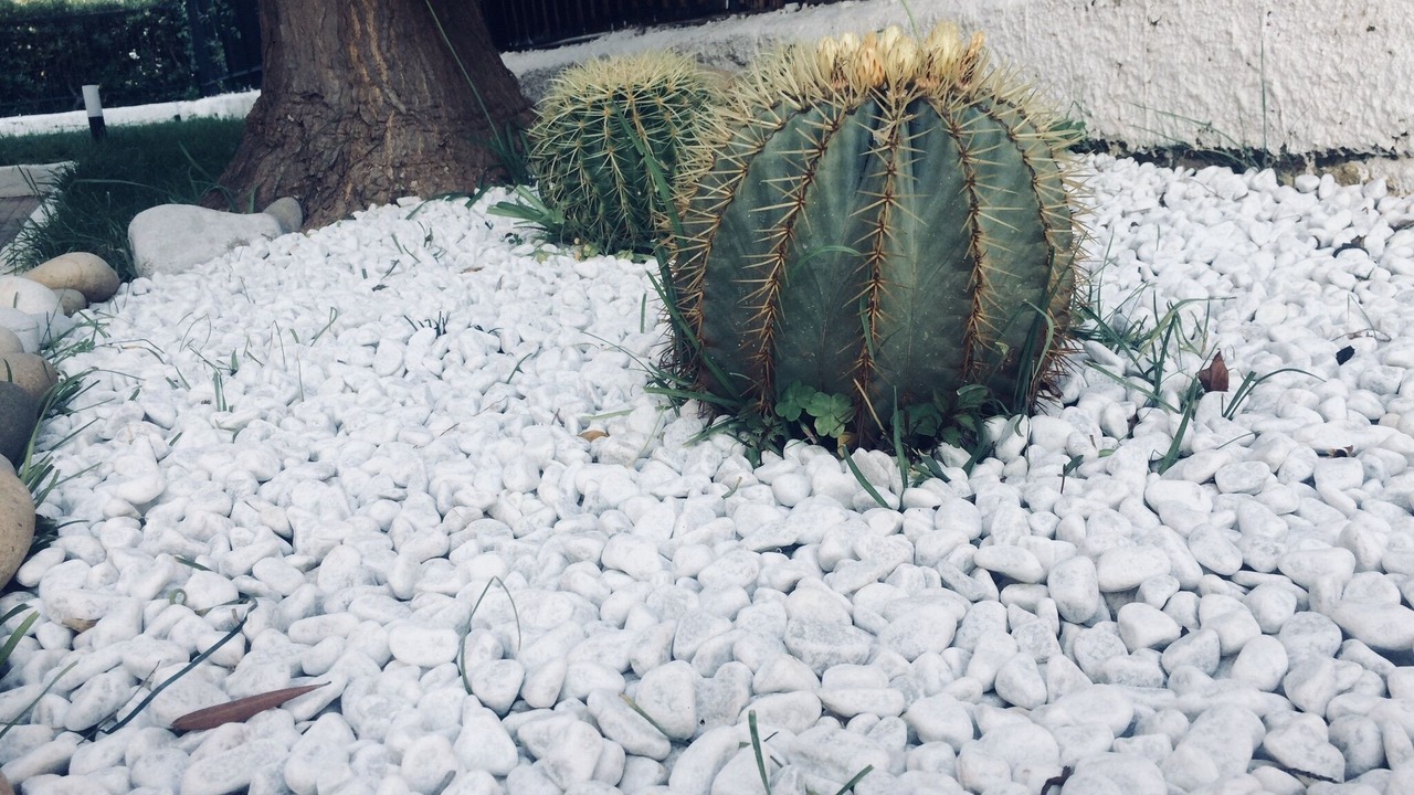 Photo of Outdoor in Partanna
