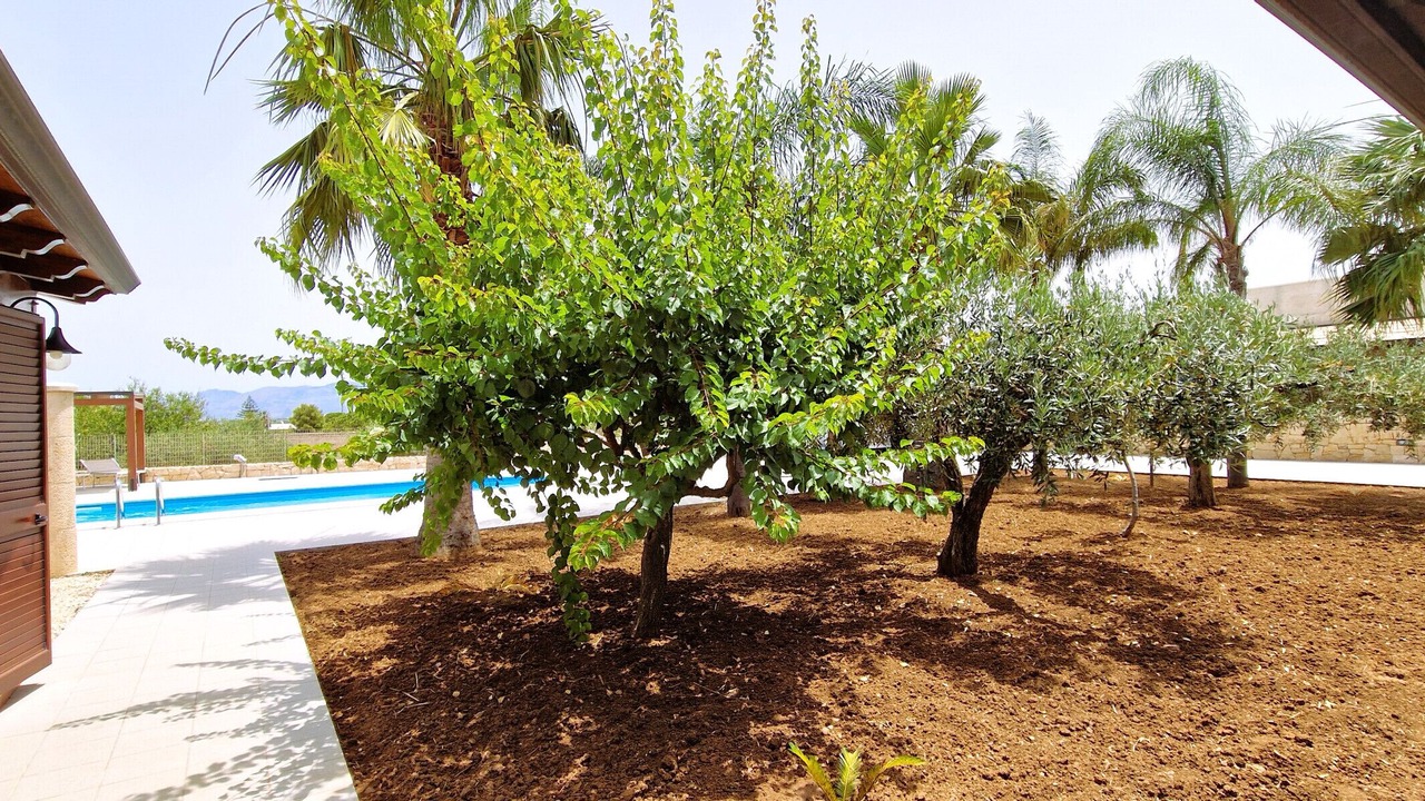 Photo of Outdoor in Alcamo Marina