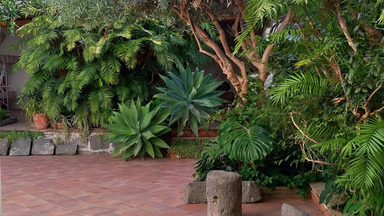 Photo of Outdoor in Riposto