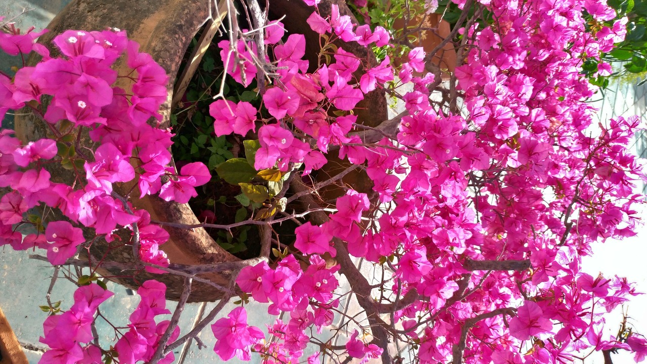 Photo of Outdoor in Riposto
