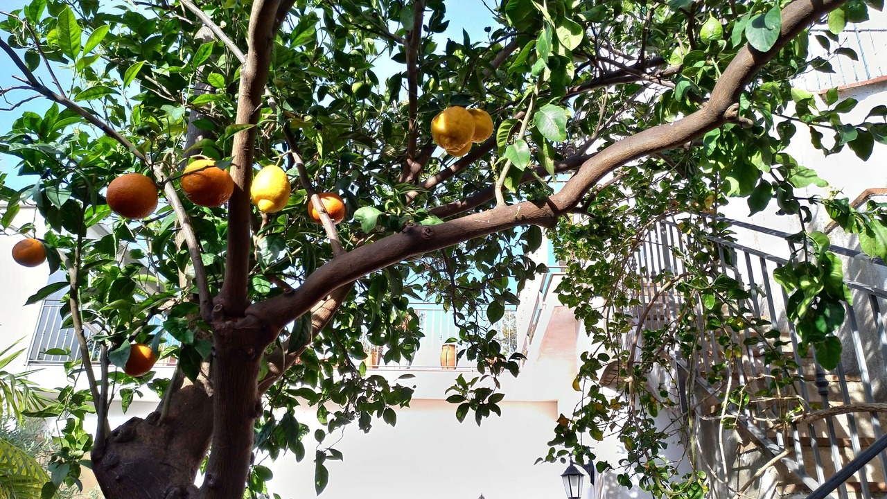 Photo of Outdoor in Riposto