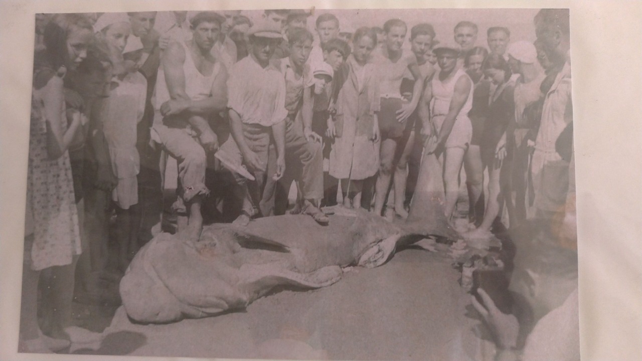 Photo of Others in Riposto