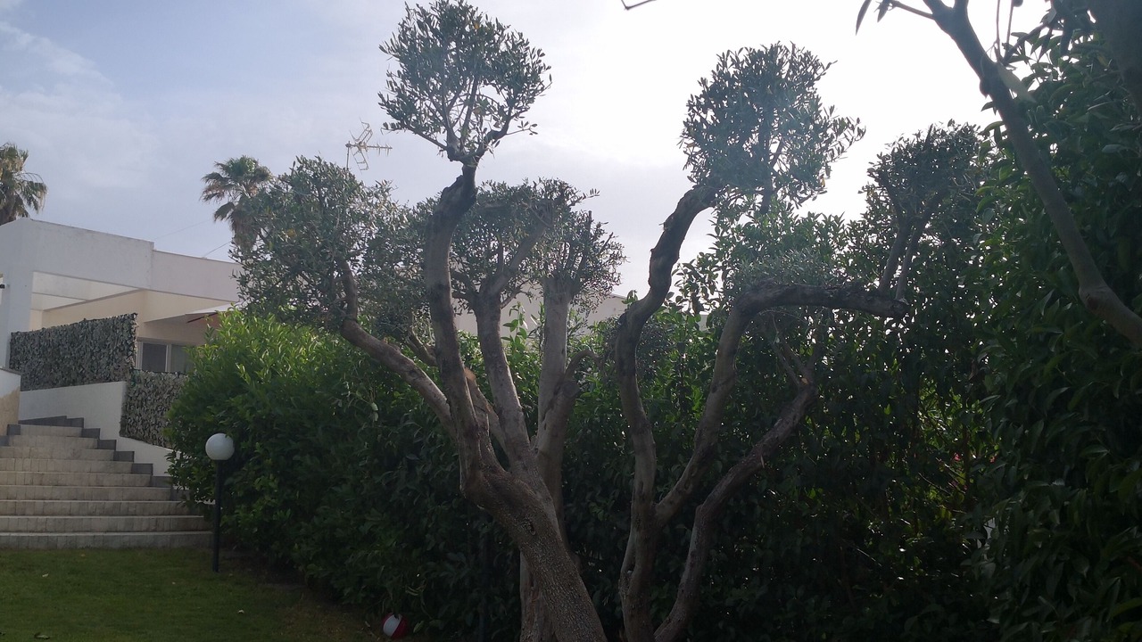 Photo of Outdoor in Brucoli