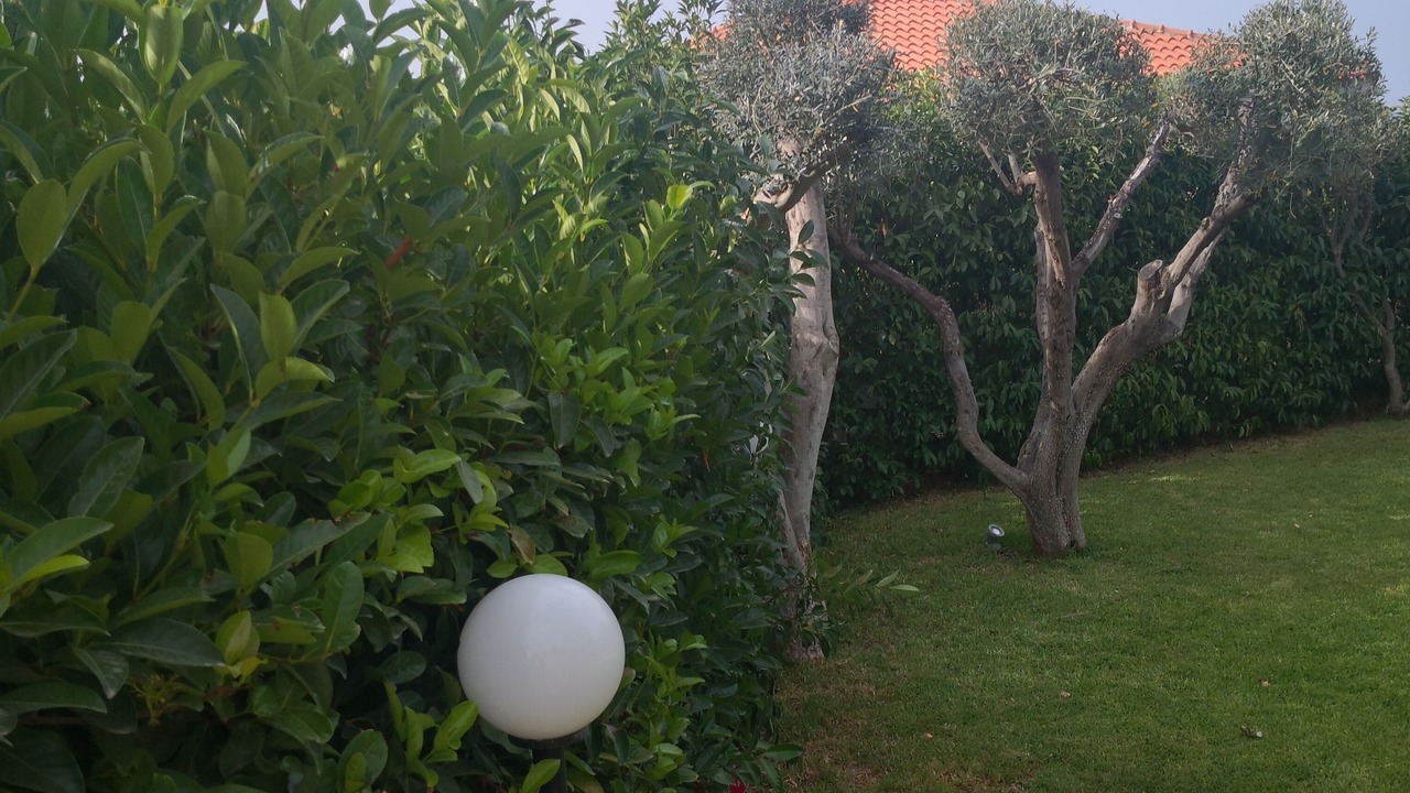 Photo of Outdoor in Brucoli