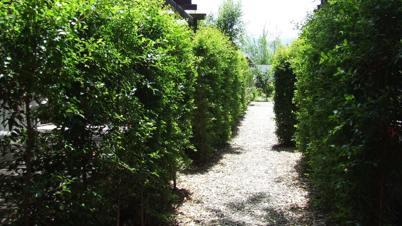 Photo of Outdoor in Terme Vigliatore