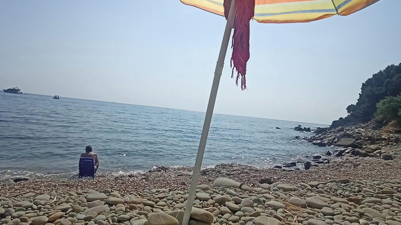 Photo of Others in San Mauro Cilento